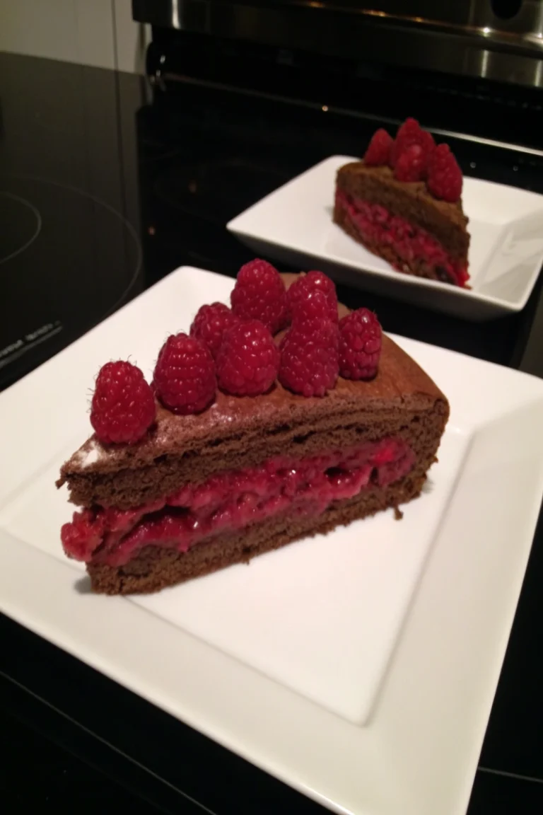 Gâteau au chocolat fourré aux framboises
