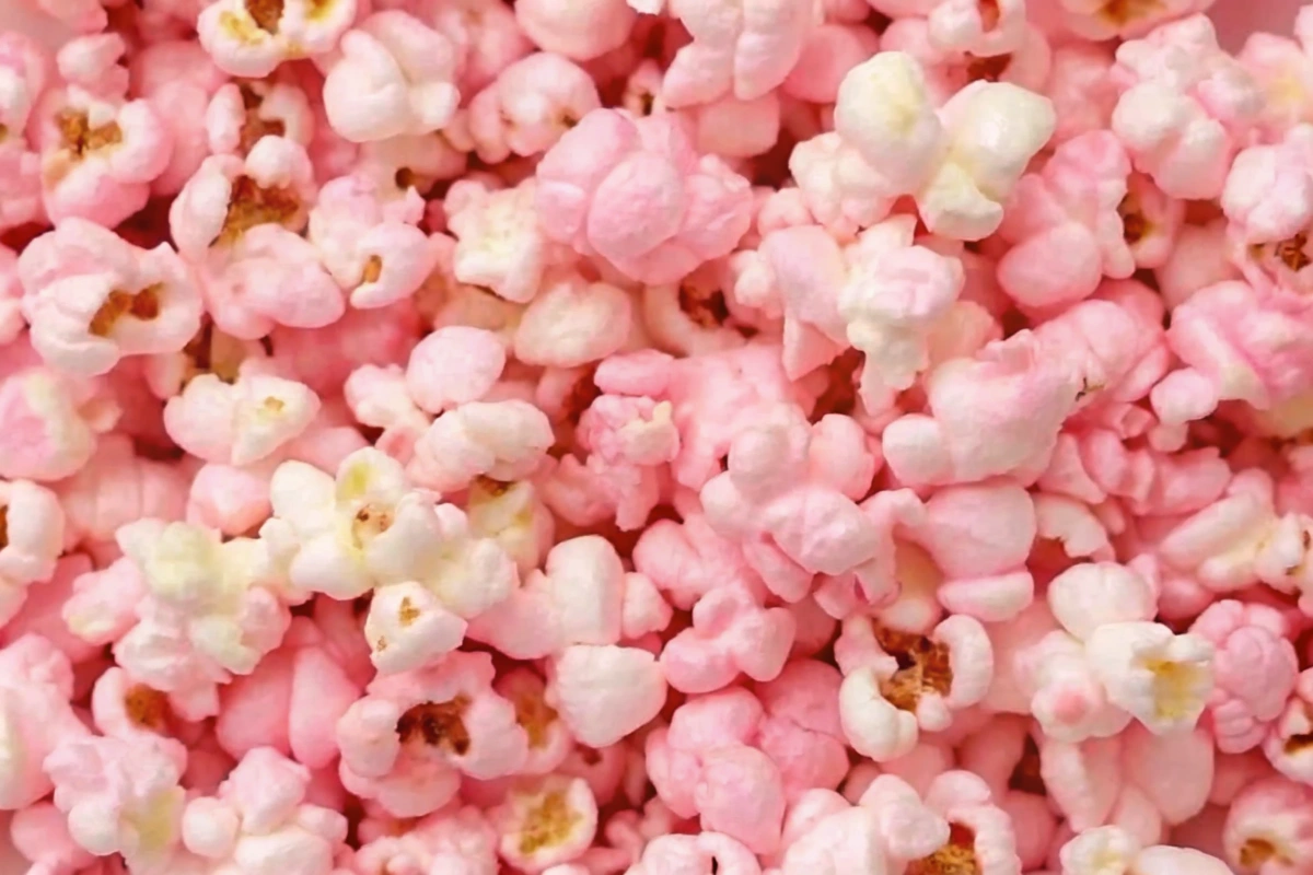 Pop Corn rose
