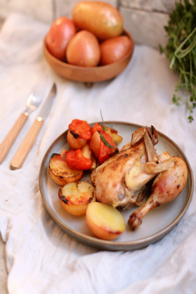 Lapin rôti au four 🍽️ Recette facile & délicieuse – Astuce gourmande pour un goût irrésistible !